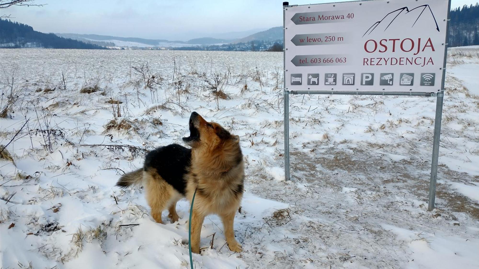 Rezydencja Ostoja Stronie Śląskie Eksteriør billede